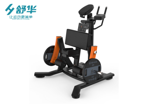 	舒华 SH-G6909 大腿屈伸训练器