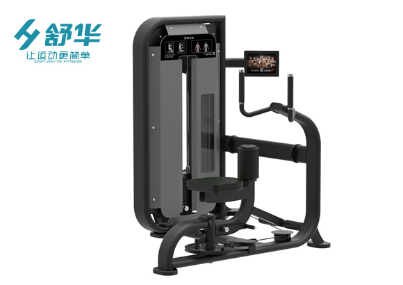 	舒华躯干式转动训练器SH-G6818T